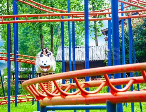 Amusement Park Roller Coaster Ride for Sale to America