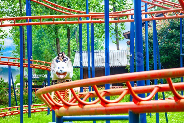 amusement park roller coaster ride for sale