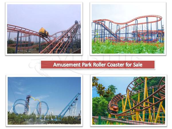 Dinis amusement park roller coaster for sale