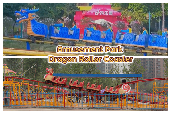 Dinis 20 seats dragon coaster amusement park rides for sale