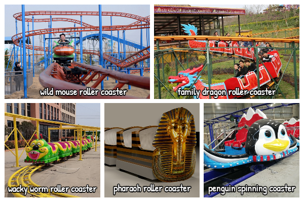 Dinis Factory roller coasters for sale for amusement park
